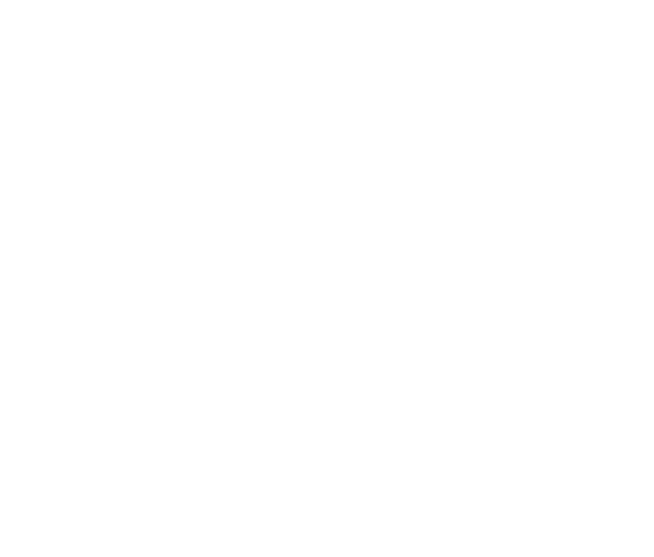 Imperfect CEO